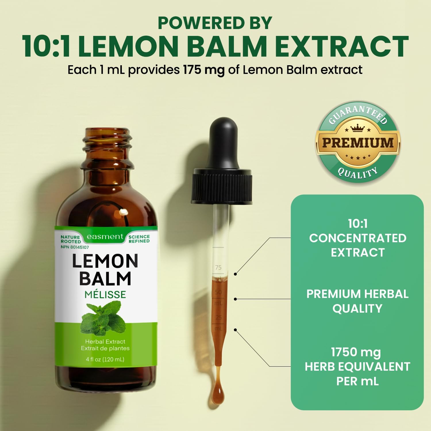 Lemon Balm Extract Liquid Drops - 10:1 Melissa Officinalis Tincture for Calm, Relaxation & Digestive Support - Alcohol-Free (4 fl oz)