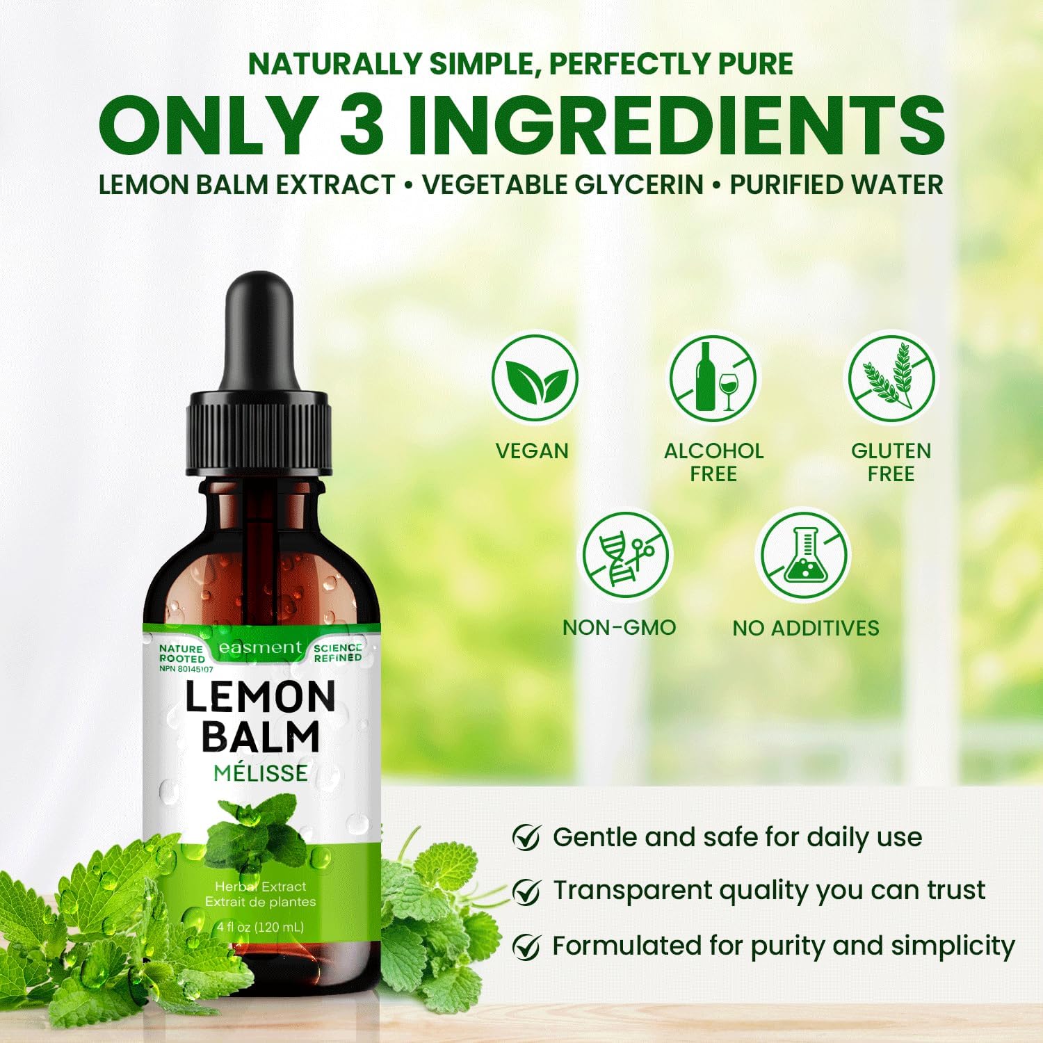 Lemon Balm Extract Liquid Drops - 10:1 Melissa Officinalis Tincture for Calm, Relaxation & Digestive Support - Alcohol-Free (4 fl oz)