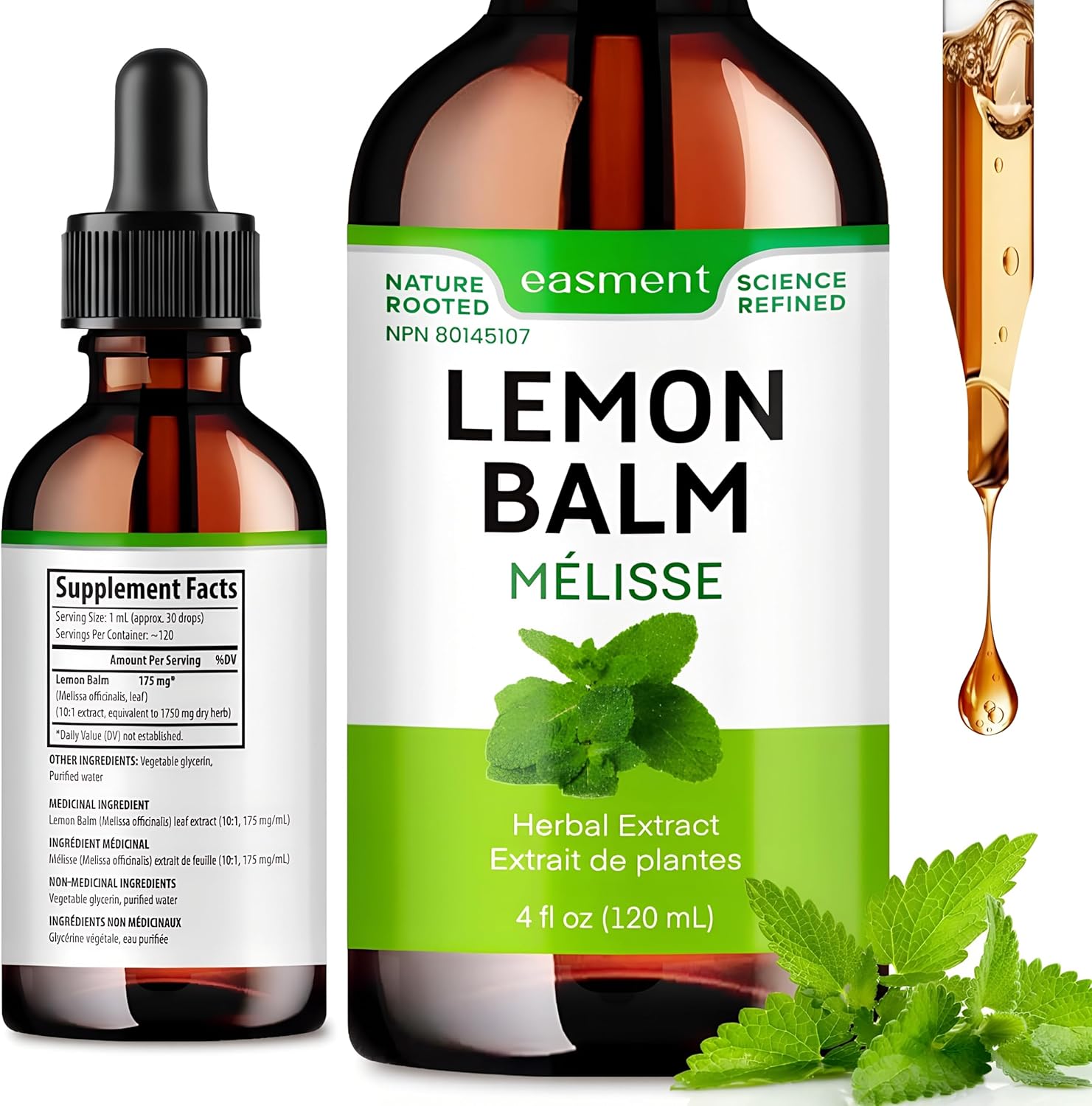 Lemon Balm Extract Liquid Drops - 10:1 Melissa Officinalis Tincture for Calm, Relaxation & Digestive Support - Alcohol-Free (4 fl oz)