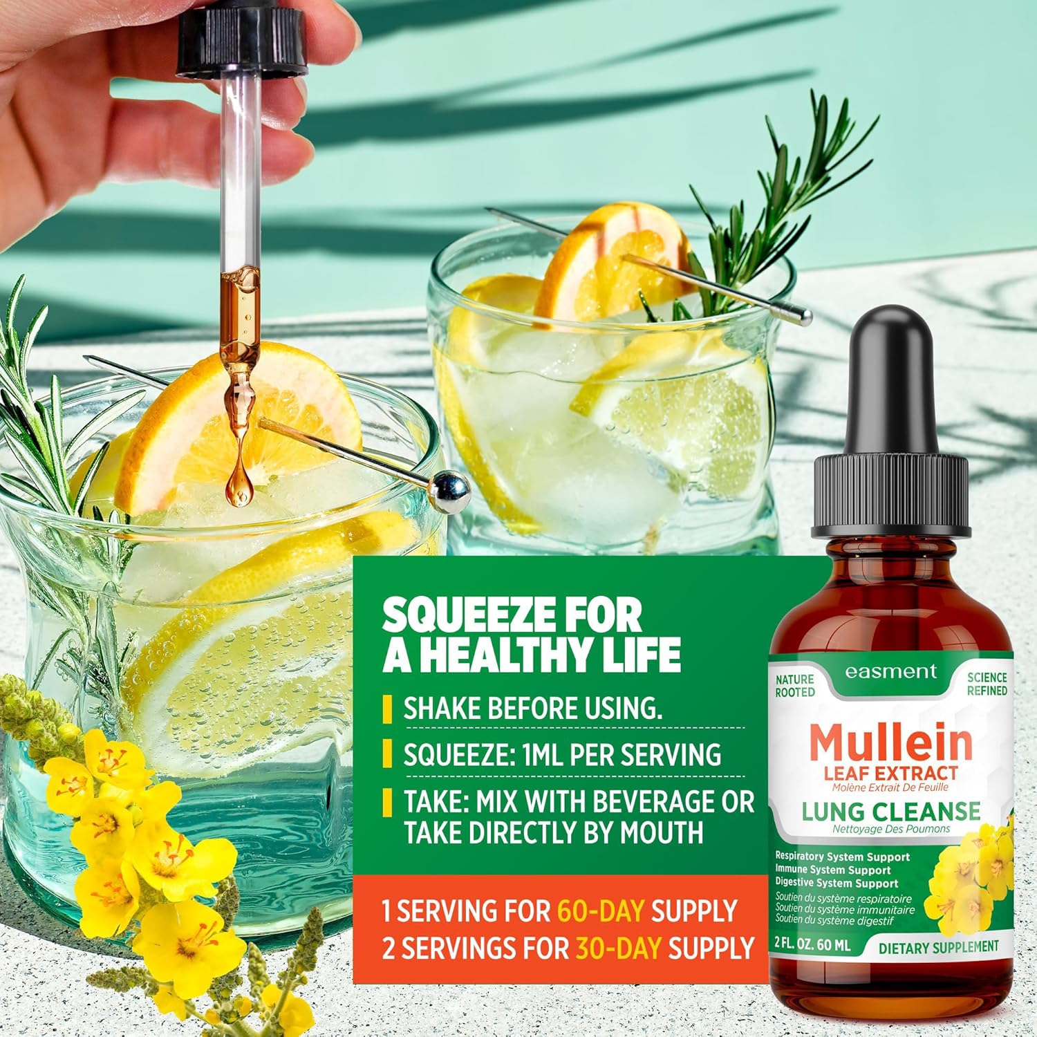 Mullein Leaf Extract Drops for Lungs – Herbal Supplement for Lung Cleanse, Mucus & Phlegm Relief – Alcohol-Free Liquid 60 mL