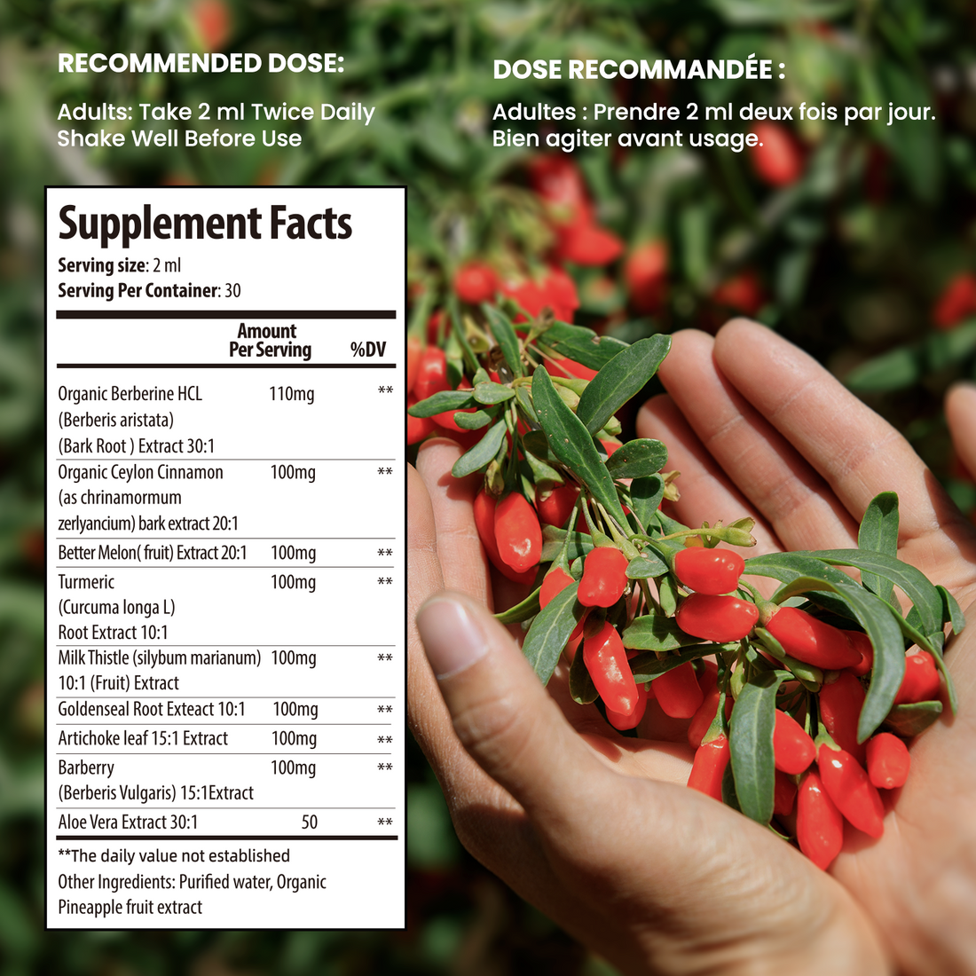 Berberine Supplement Liquid Drops 60Ml