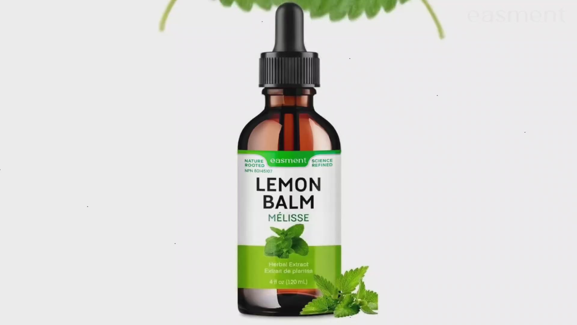 Lemon Balm Extract Liquid Drops - 10:1 Melissa Officinalis Tincture for Calm, Relaxation & Digestive Support - Alcohol-Free (4 fl oz)